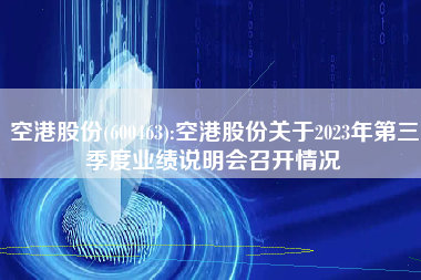 空港股份(600463):空港股份关于2023年第三季度业绩说明会召开情况