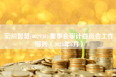 宏川智慧(002930):董事会审计委员会工作细则（2024年6月）