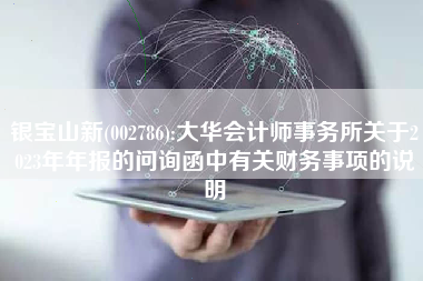 银宝山新(002786):大华会计师事务所关于2023年年报的问询函中有关财务事项的说明