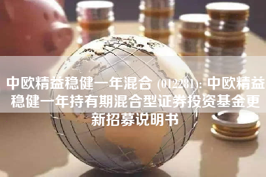 中欧精益稳健一年混合 (012281): 中欧精益稳健一年持有期混合型证券投资基金更新招募说明书